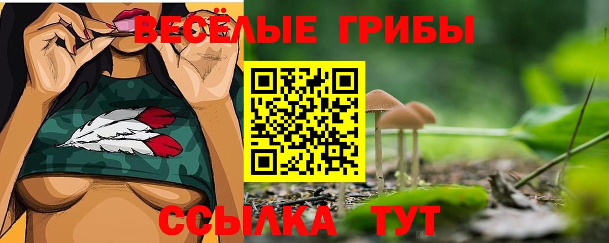 Нарткала  Псилоцибиновые грибы Magic Shrooms  Вход с VPN  Псилоцибиновые грибы Psilocybe 